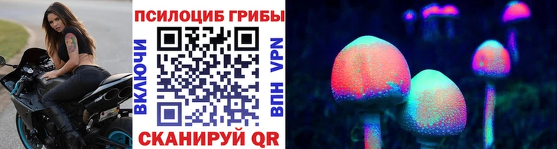 Галлюциногенные грибы Psilocybine cubensis Анадырь